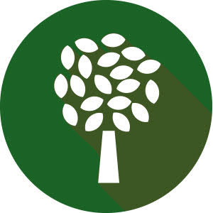 Trees icon